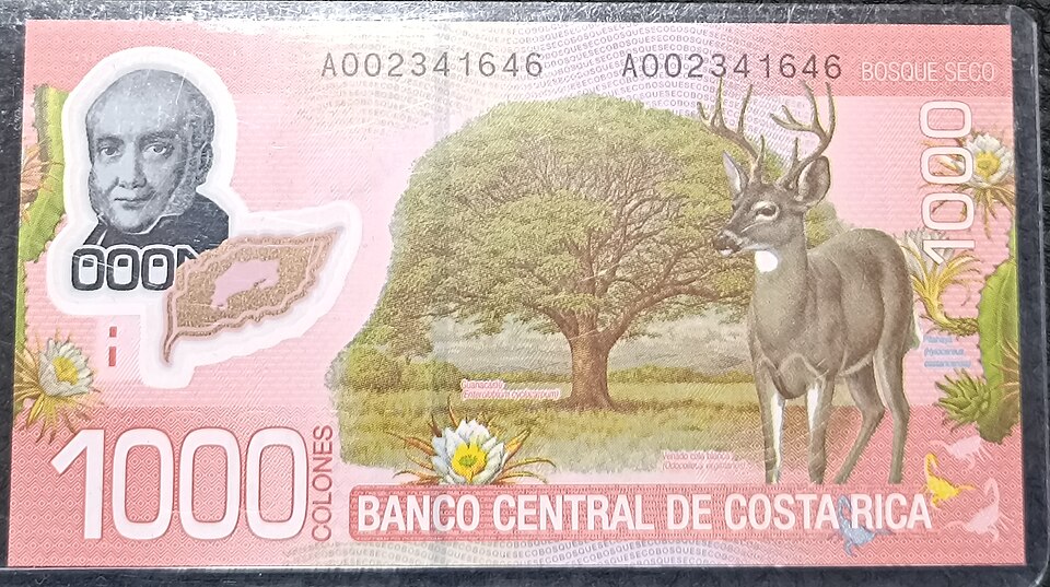 Billete 1000 colones serie A 2009 reverso